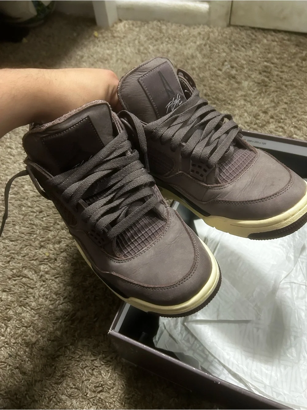 Air Jordan 4 A Ma Manieres
